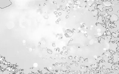 Mona. Pralnia chemiczna i wodna